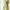 Casual Maxi Dress Wanita Yellow