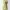 Casual Maxi dress Wanita yellow photo 3