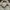 Urban Outfitters Casual Puffer jacket Pria white photo 2