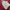 Dickies Streetwear Casual Sweatshirt Pria white red photo 2