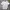 Bossini Casual T-shirt Pria White