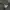 Sportswear Casual Track jacket Pria gray photo 6