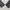 Sportswear Casual Track jacket Pria gray photo 8