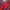 Y2K Windbreaker Pria Red