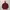 Streetwear Parka Pria burgundy photo 1