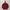 Streetwear Parka Pria Burgundy