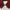 Streetwear Parka Pria burgundy photo 7