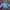Uniqlo Streetwear Sportswear Leather jacket Pria multicolor blue photo 2