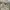 Lee Avant Garde Casual Casual pants Pria cream photo 4