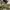 Lee Avant Garde Casual Casual pants Pria cream photo 5