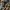 New Balance Cosplay Sneakers Pria tan black photo 3
