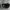 Oakley Streetwear Y2K Hat Pria multicolor photo 2