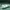 Streetwear Sportswear Track jacket Pria green photo 7