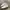 Nike Streetwear Y2K Sneakers Pria White