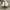 Nike Streetwear Y2K Sneakers Pria white photo 4