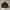 Streetwear Indie Bomber jacket Pria black photo 7