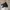 Streetwear Indie Bomber jacket Pria black photo 1