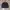 Streetwear Indie Bomber Jacket Pria Black