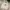 Oioi Streetwear Casual Sweatshirt Pria cream photo 1