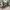 Japanese brand Gorpcore Sweatpants & Joggers Pria green photo 4