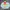 Ellesse Vintage Streetwear Windbreaker Pria White