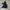 Uniqlo Streetwear Sportswear Windbreaker Pria black photo 1