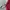 New Era Casual Sweatshirt Pria multicolor photo 4
