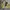 Puma Sportswear Windbreaker Pria yellow photo 2