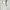 Yohji Yamamoto Casual Casual shirt Pria white photo 5