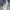 Levi's Vintage Jeans Pria white blue photo 4
