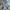 Levi's Vintage Jeans Pria Blue