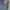 Levi's Vintage Jeans Pria blue photo 7