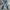 Dolce & Gabbana Vintage Jeans Pria blue photo 1