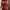 Coquette Casual Nightgown Wanita red photo 2