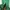 Luxury Minimalist Evening dress Wanita green red photo 3