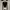 ZARA Casual Bodysuit Wanita white black photo 1