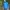 Montbell Gorpcore Sportswear Windbreaker Pria blue photo 2