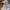 Levi's Vintage Casual Formal pants Pria tan photo 7