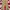 Levi's Vintage Casual Formal Pants Pria Tan