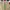 Levi's Vintage Casual Formal pants Pria tan photo 4