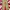 Levi's Vintage Casual Formal Pants Pria Tan