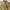 Levi's Vintage Casual Formal pants Pria tan photo 3