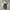 Oakley Luxury Casual Bag Pria black photo 4