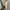 Birkenstock Vintage Y2K Casual shoe Pria cream photo 5