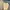 Birkenstock Vintage Y2K Casual shoe Pria cream photo 8