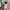 Birkenstock Vintage Y2K Casual shoe Pria cream photo 4