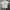 Grunge Casual Casual shirt Pria white gray photo 1