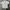 Grunge Casual Casual Shirt Pria White Gray