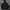 Levi's Vintage Y2K Track jacket Pria black photo 8