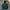 Airwalk Streetwear Sportswear Bomber jacket Pria multicolor photo 1